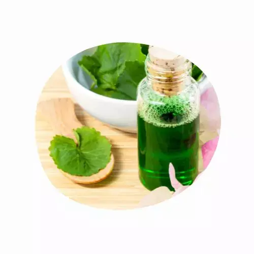 CENTELLA ASIÁTICA